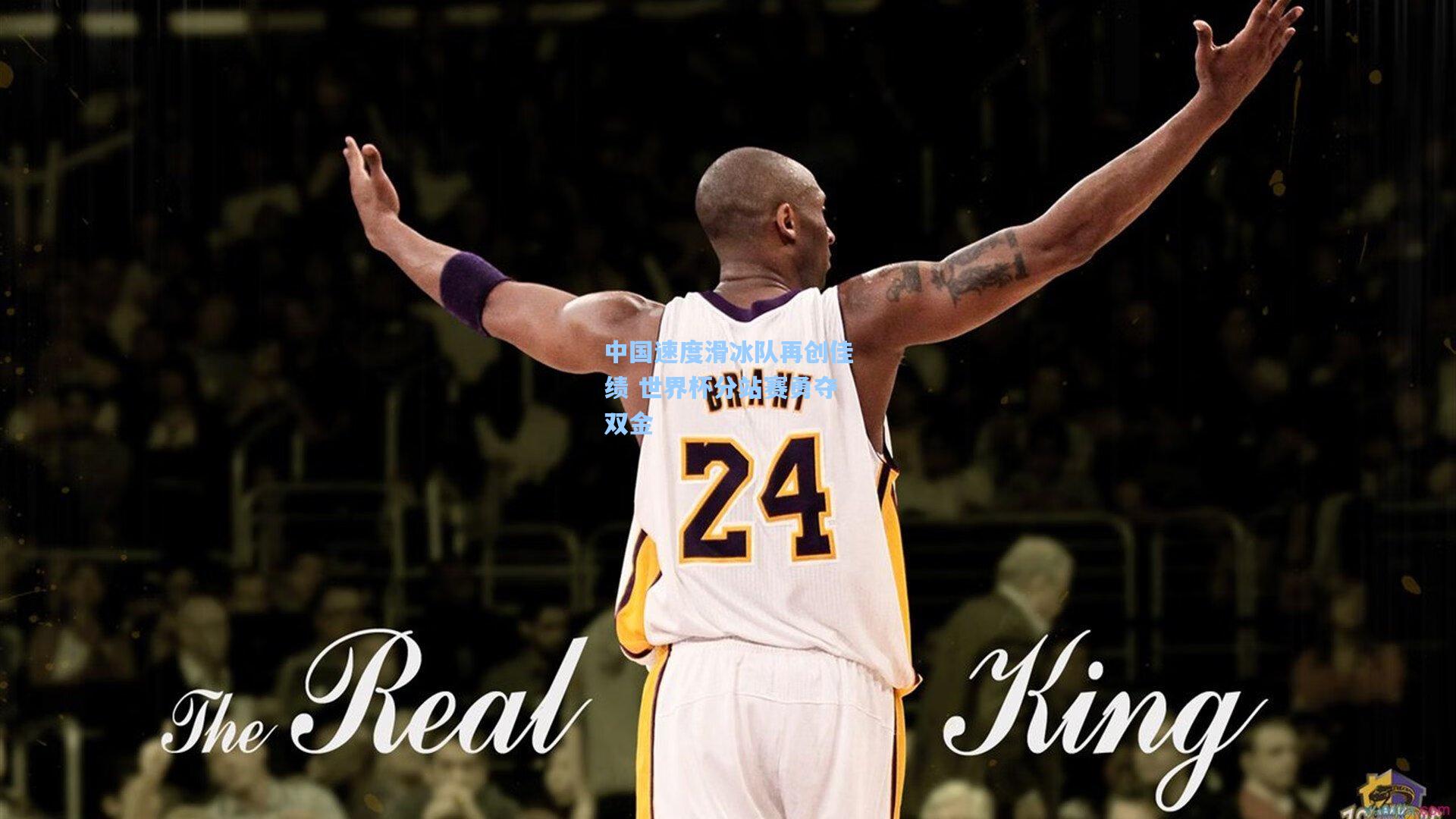 中国速度滑冰队再创佳绩 世界杯分站赛勇夺双金